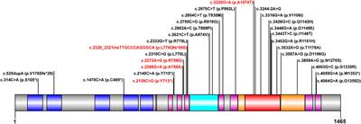 Early Diagnosis of Wilson’s Disease in Children in Southern China by Using Common Parameters